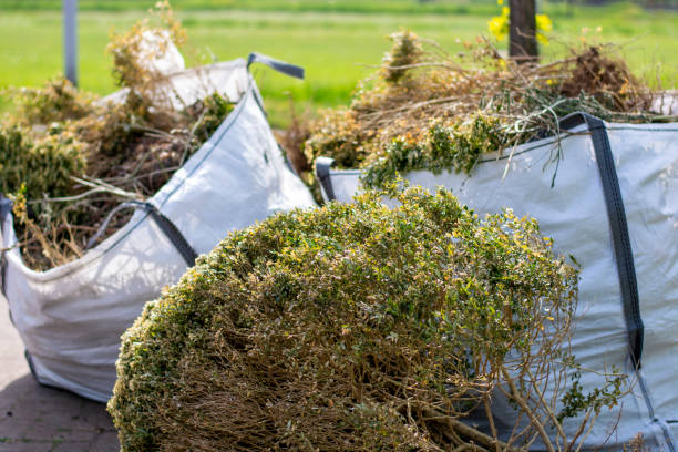 Best Yard Cleanup Services  in Jemison, AL